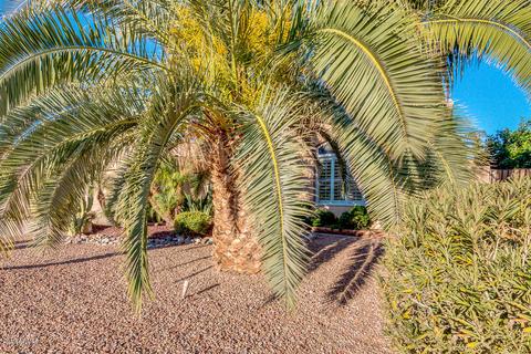 2320 S Revolta --, Mesa, AZ 85209 photo 42