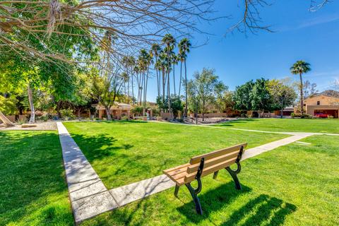 1121 E Tapatio Dr, Phoenix, AZ 85020 photo 50