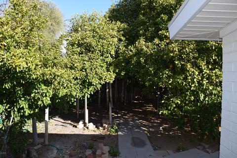 5634 E Des Moines St, Mesa, AZ 85205 photo 11