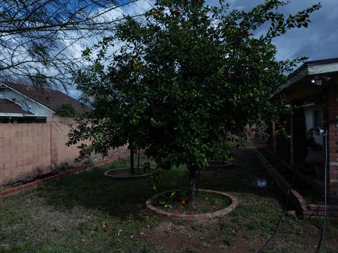 1404 E Bates St, Mesa, AZ 85203 photo 15