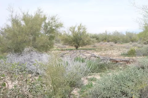 4310 E Dynamite Blvd #-, Cave Creek, AZ 85331 photo 9