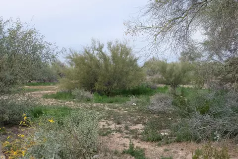 4310 E Dynamite Blvd #-, Cave Creek, AZ 85331 photo 8