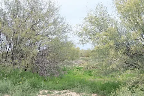 4310 E Dynamite Blvd #-, Cave Creek, AZ 85331 photo 6