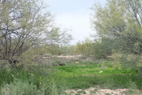 4310 E Dynamite Blvd #-, Cave Creek, AZ 85331 photo 7