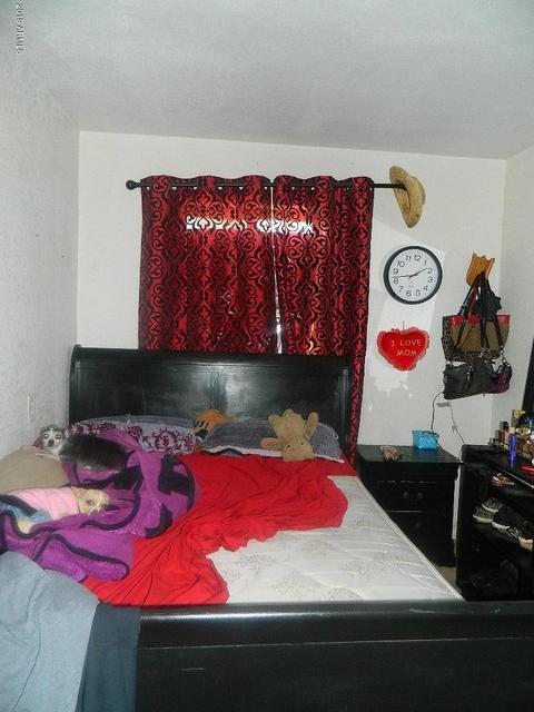 1445 E Taylor St, Phoenix, AZ 85006 photo 22