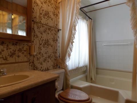 2950 Buckskin Rd, Overgaard, AZ 85933 photo 12