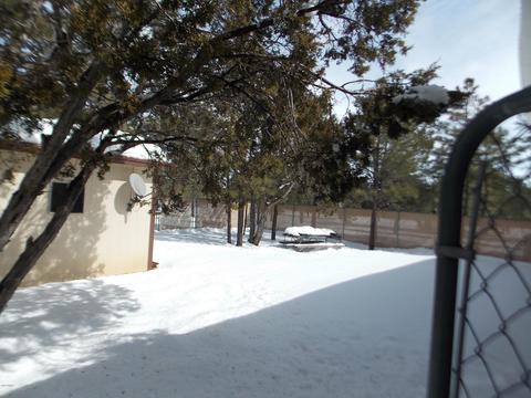 2950 Buckskin Rd, Overgaard, AZ 85933 photo 19