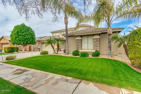 3556 E Page Ct, Gilbert, AZ 85234 photo 3