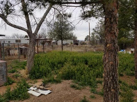 1766 E 23rd St, Douglas, AZ 85607 photo 14
