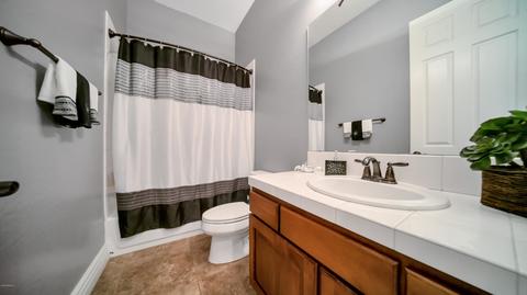 3204 E Constance Way, Phoenix, AZ 85042 photo 25