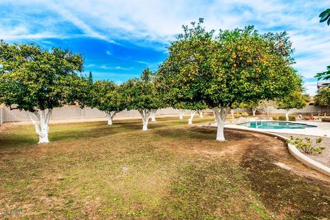 3460 E Knoll St, Mesa, AZ 85213 photo 48