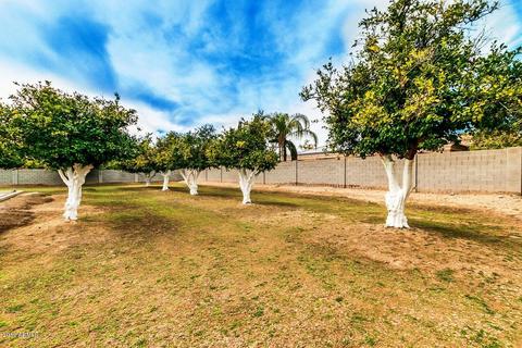 3460 E Knoll St, Mesa, AZ 85213 photo 54