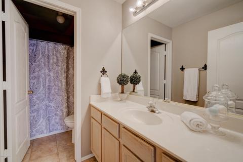 11234 E Peterson Ave, Mesa, AZ 85212 photo 24