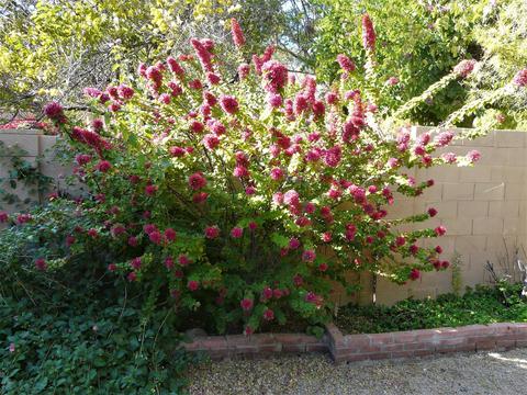 802 E North Ln #3, Phoenix, AZ 85020 photo 18