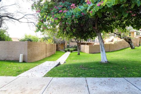802 E North Ln #3, Phoenix, AZ 85020 photo 6