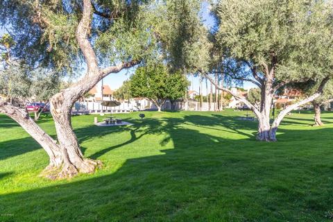 30 E Brown Rd #1106, Mesa, AZ 85201 photo 6