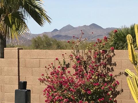 4052 N Ranier --, Mesa, AZ 85215 photo 31