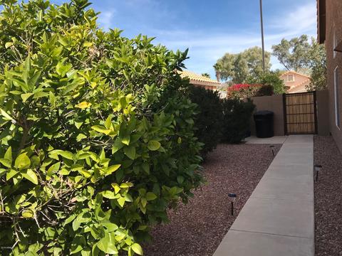 4052 N Ranier --, Mesa, AZ 85215 photo 29