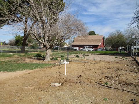 921 E Mesquite St, Gilbert, AZ 85296 photo 21