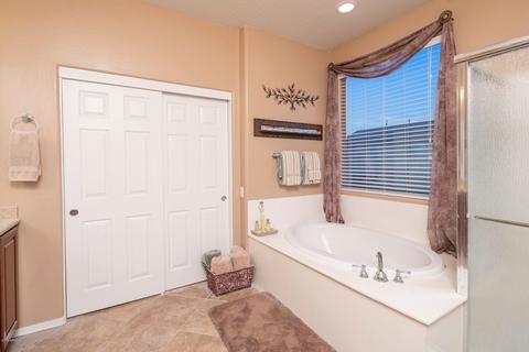 10928 E Solina Ave, Mesa, AZ 85212 photo 11