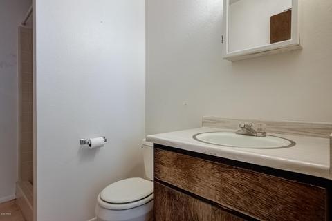 9006 E Gary Ln, Mesa, AZ 85207 photo 25