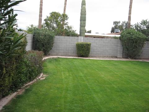 806 E Garnet Ave, Mesa, AZ 85204 photo 29