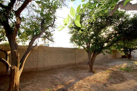 901 E 10th Pl, Mesa, AZ 85203 photo 25