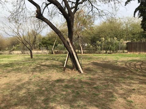 3634 S 9th St, Phoenix, AZ 85040 photo 20