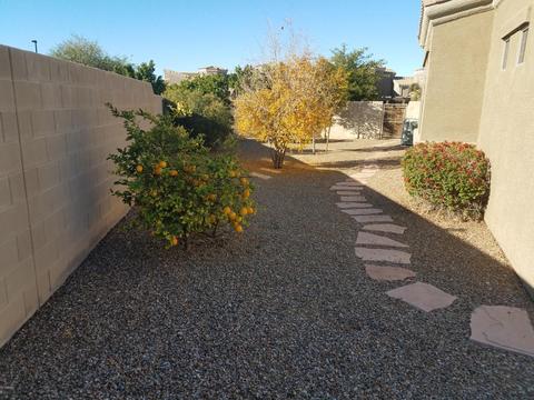 6202 E Mckellips Rd #203, Mesa, AZ 85215 photo 14