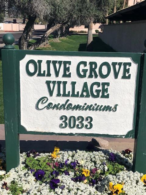 3033 E Devonshire Ave #1035, Phoenix, AZ 85016 photo 9