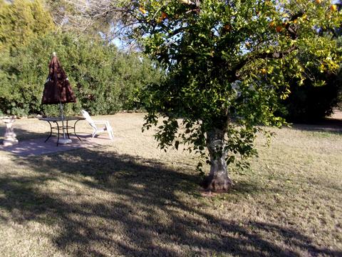 3311 E Cheery Lynn Rd, Phoenix, AZ 85018 photo 18