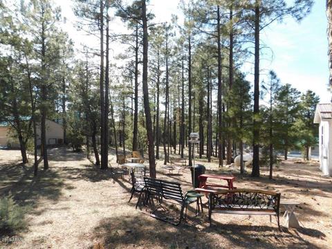 2876 Wildcat Trl, Overgaard, AZ 85933 photo 5