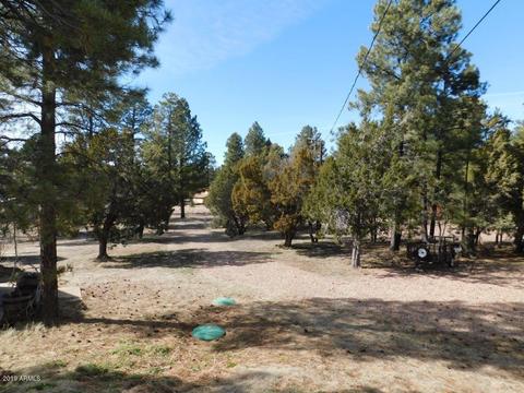 2876 Wildcat Trl, Overgaard, AZ 85933 photo 30
