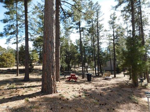 2876 Wildcat Trl, Overgaard, AZ 85933 photo 4