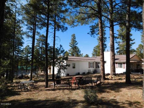 2876 Wildcat Trl, Overgaard, AZ 85933 photo 35