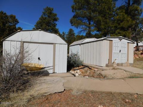 2876 Wildcat Trl, Overgaard, AZ 85933 photo 37