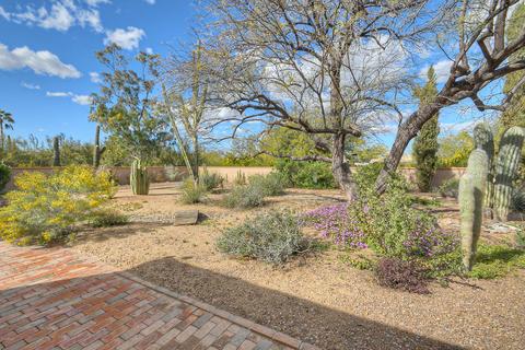 4208 E Fanfol Dr, Phoenix, AZ 85028 photo 17