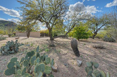 4208 E Fanfol Dr, Phoenix, AZ 85028 photo 22