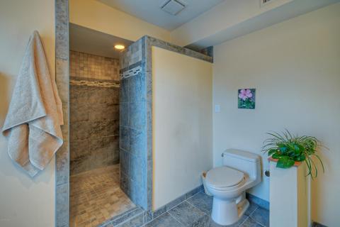 4208 E Fanfol Dr, Phoenix, AZ 85028 photo 39
