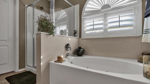 3881 E Bruce Ave, Gilbert, AZ 85234 photo 22