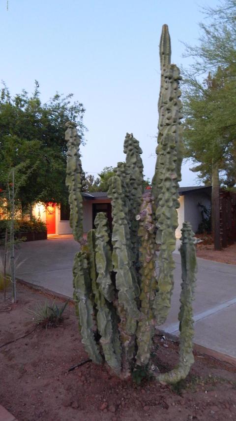 512 E Balboa Dr, Tempe, AZ 85282 photo 52