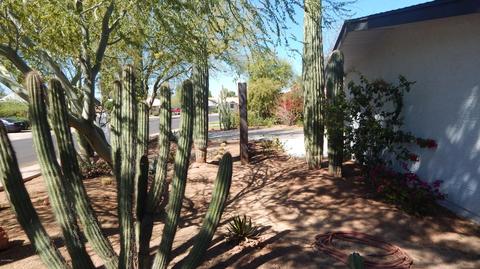 512 E Balboa Dr, Tempe, AZ 85282 photo 40