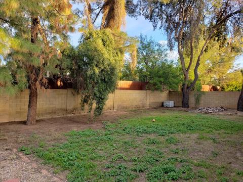 1809 S Beverly St, Mesa, AZ 85210 photo 55