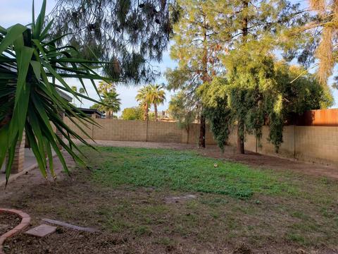 1809 S Beverly St, Mesa, AZ 85210 photo 51