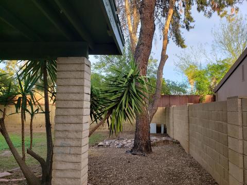 1809 S Beverly St, Mesa, AZ 85210 photo 50