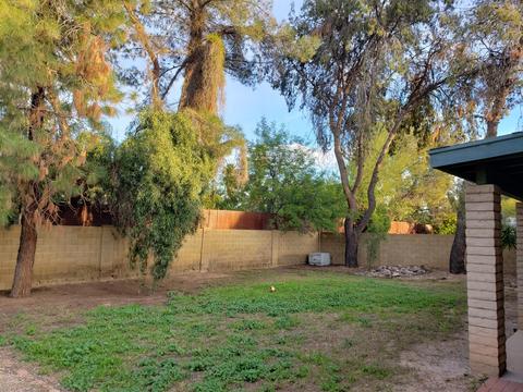 1809 S Beverly St, Mesa, AZ 85210 photo 45