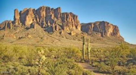 3752 S Bowman Rd, Apache Junction, AZ 85119 photo 21