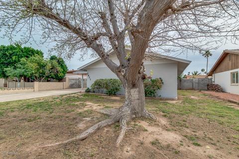 2471 E Pebble Beach Dr, Tempe, AZ 85282 photo 3