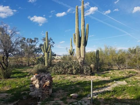 175 W Tepee St, Apache Junction, AZ 85120 photo 2