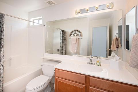 7705 E Downing St, Mesa, AZ 85207 photo 19